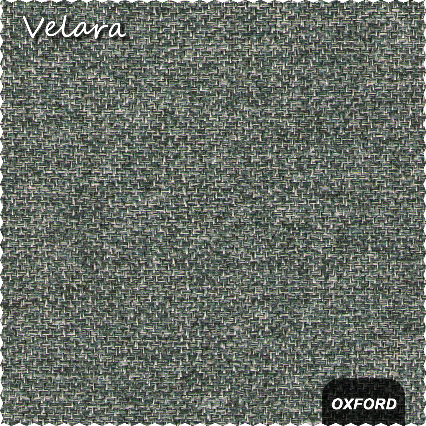 Velara